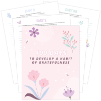 100 Days To A Habit of Gratefulness