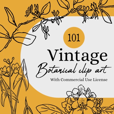 Vintage Botanical Clip Art