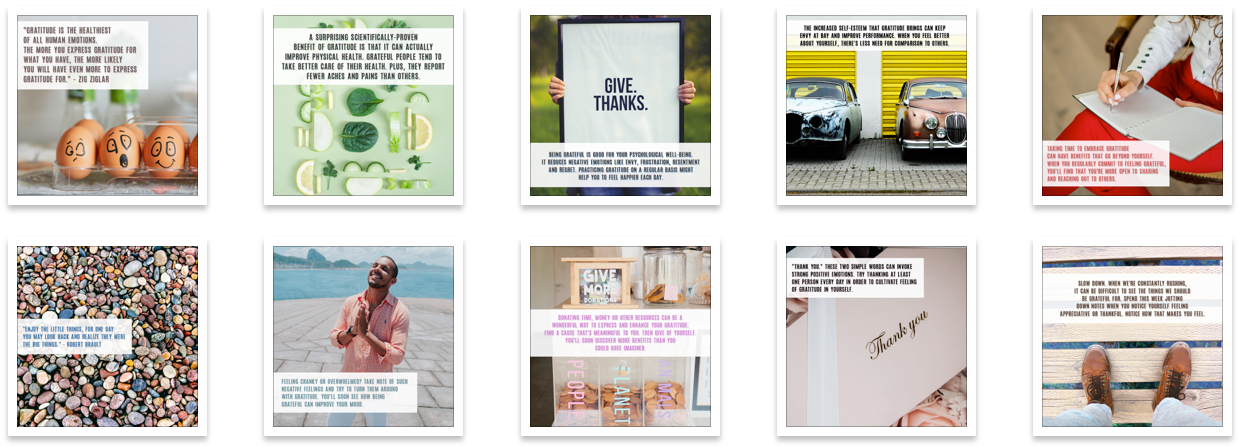 100-days-gratefulness-social-media 100-days-gratefulness-social-media