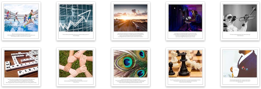social-media-marketing-365-contact social-media-marketing-365-contact